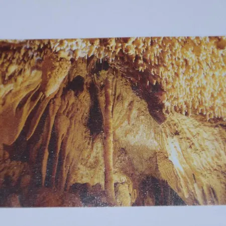 Les 2 Chenes דירה